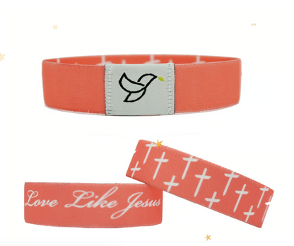 HolyVerse Wristband